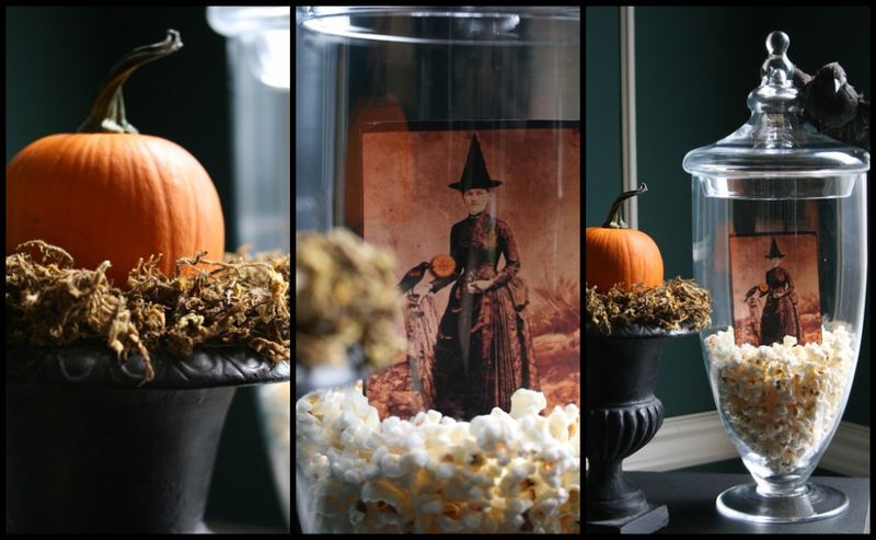 See my Fabulous Halloween Filler Ideas for apothecary jars!