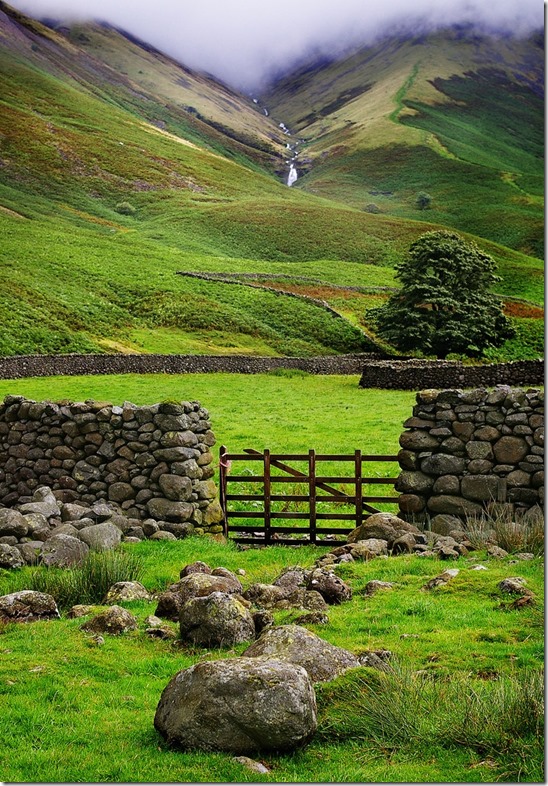 Happy Saint Patrick’s Day!