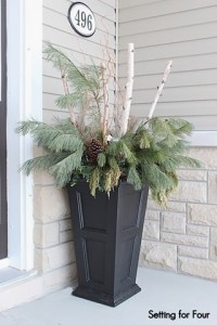 Urn decor with birch branches,curly willow, fresh pine and large pinecones