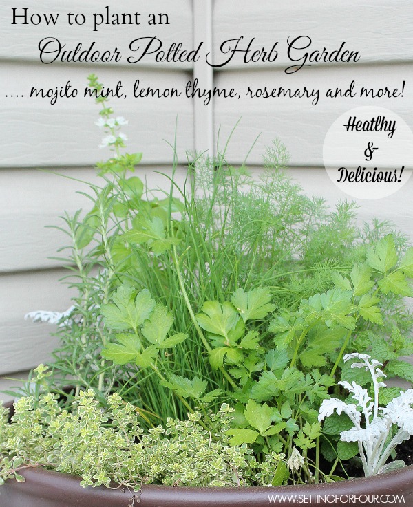 How to Plant an Outdoor Herb Garden Pot for Four