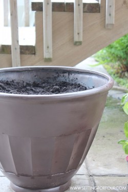 How to Plant an Outdoor Herb Garden Pot - Setting for Four
