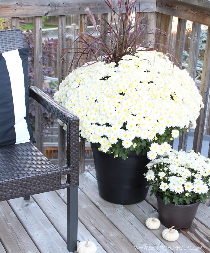 Fall Home Tour: Part One - Page 4 of 4 - Setting for Four