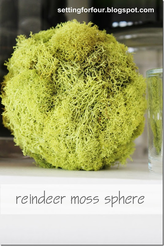 DIY Moss Spheres are so easy and quick to make! See the easy directions! www.settingforfour.com