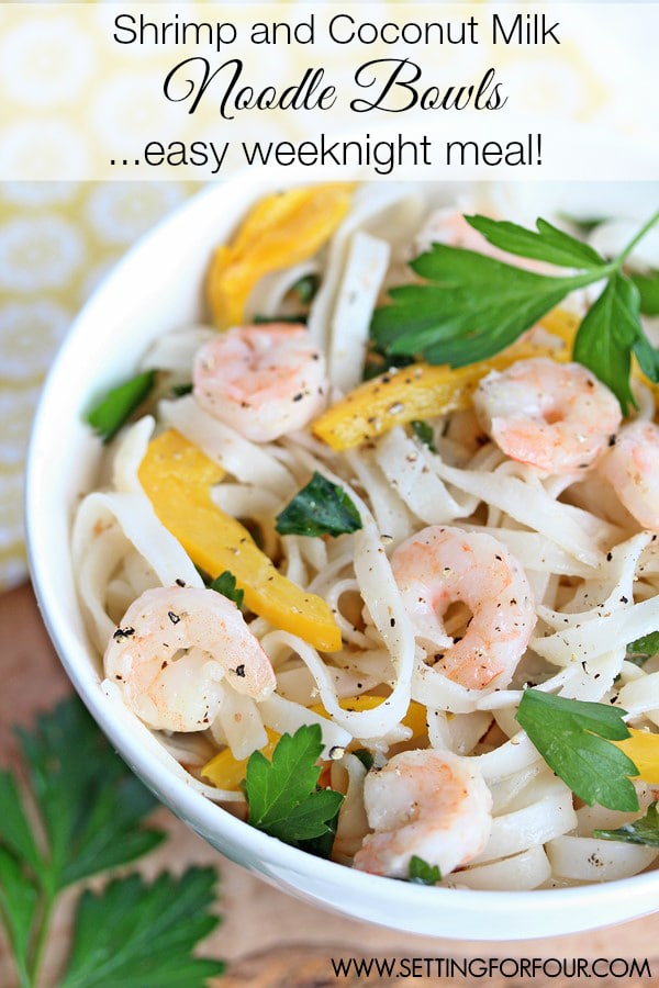 One Pan Recipe|Shrimp & Coconut Milk Noodle Bowls