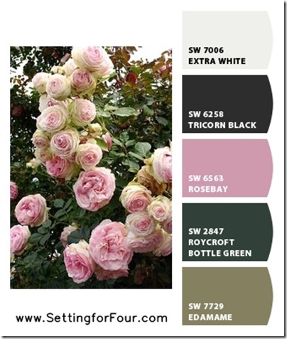 Sherwin Williams Pink Color Scheme 