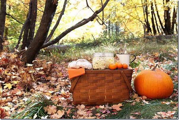 10+ Fall Picnic Ideas: Beautiful &amp; Inspiring! | Setting For 4