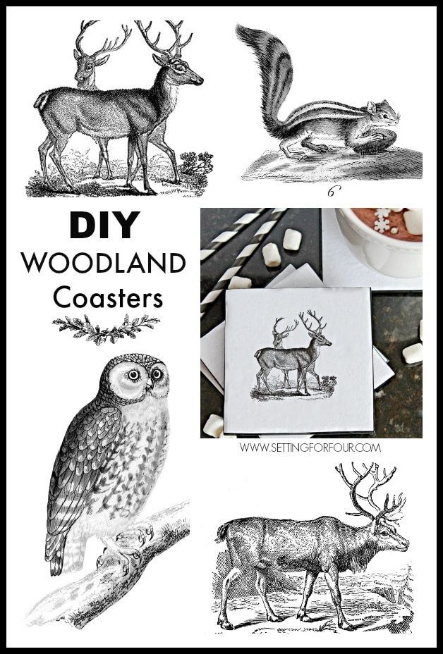 Great tutorial for Upcycled Woodland DIY Coasters for your home! Beautiful decor accessories and gift idea! www.settingforfourcom