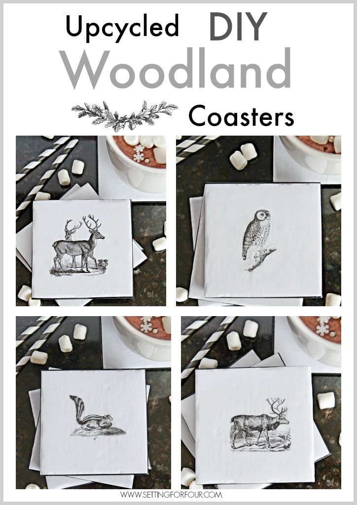 Mod Podge Woodland Coaster DIY