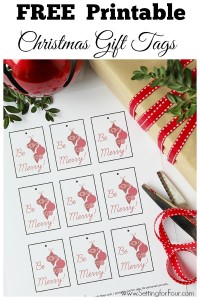 FREE Printable! DIY Christmas Gift Tags! Print, cut out add twine and attach to your gifts! www.settingforfour.com