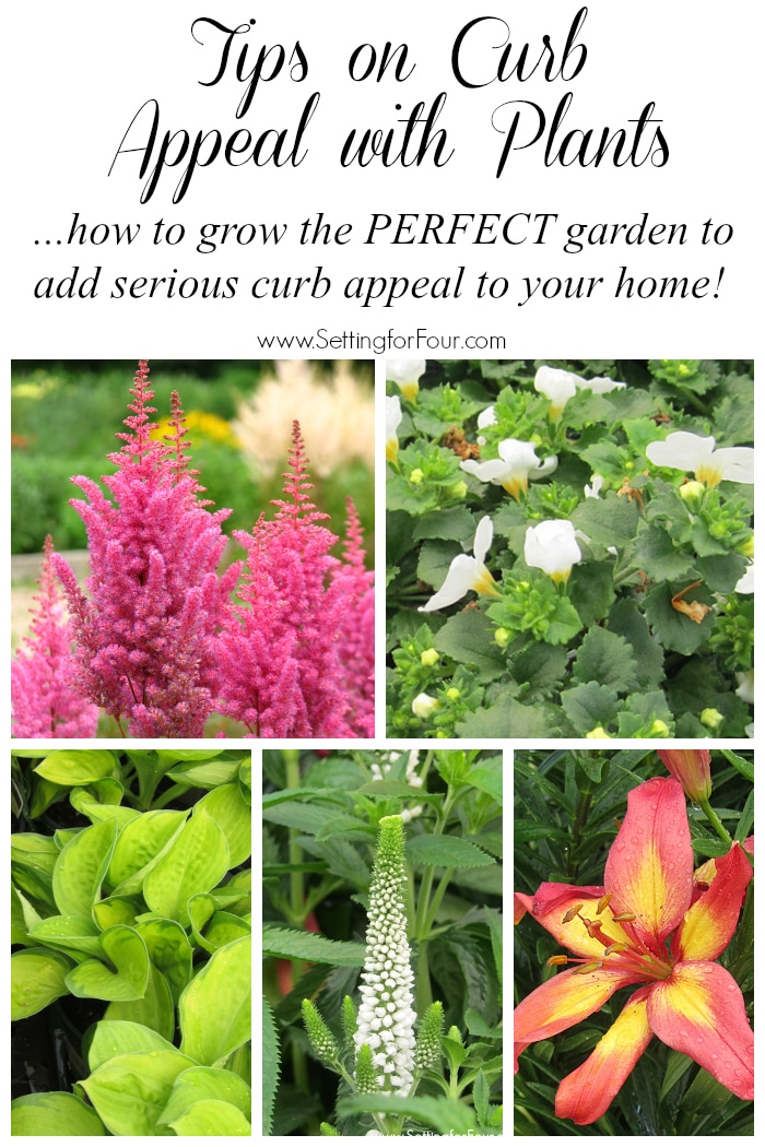 Awesome tips on Curb Appeal with Plants! How to grow the PERFECT colorful, easy care garden to add some dramatic curb appeal! More gardening tips, inspiration and plant info at www.settingforfour.com