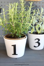 DIY Herb Pots with Numbers www.settingforfour.com