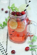 Cranberry Mojito Fizz Cocktail