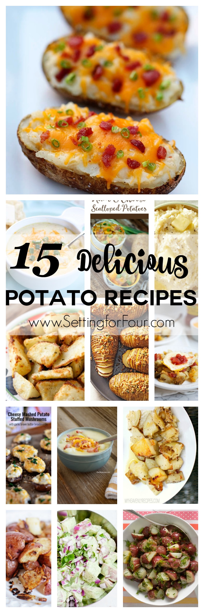 15 Delicious Potato Recipes you have to try! Includes recipes for potato casseroles, soups, baked, fried, mashed and more! www.settingforfour.com