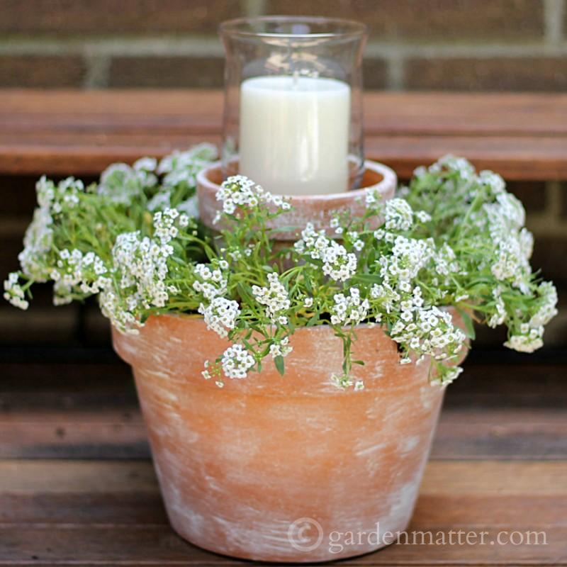 Whitewashed flower pot DIY decor project.