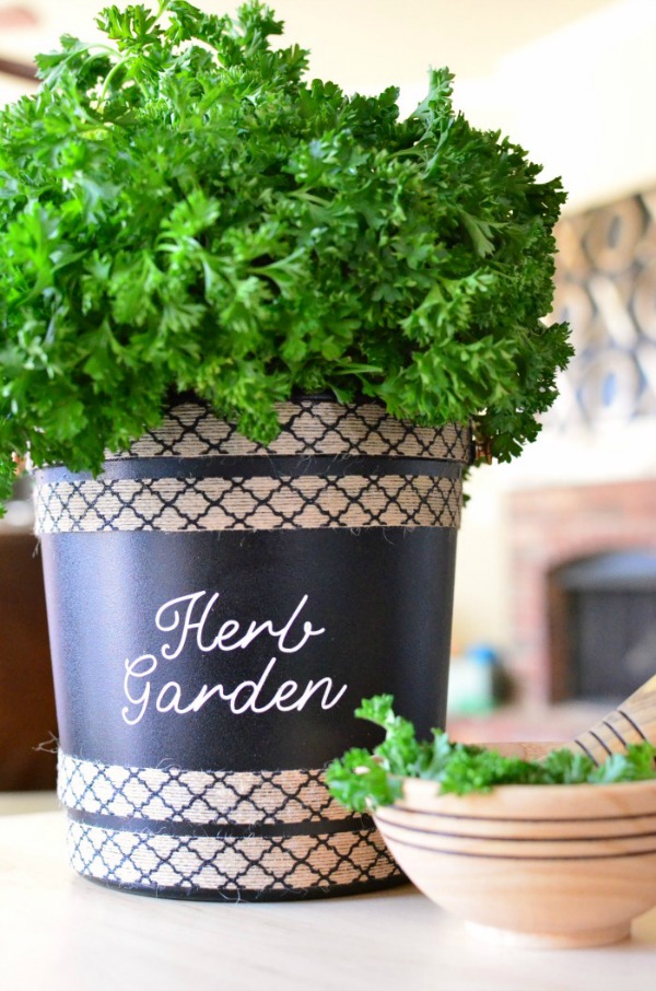 Upcycled popcorn bucket to herb garden!