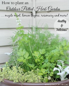 DIY Herb Garden