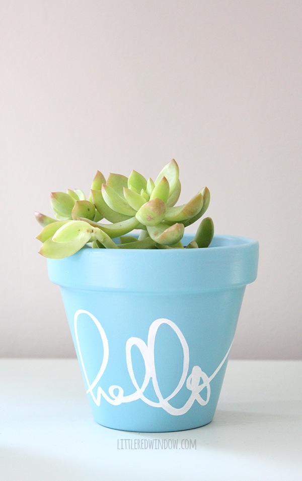 Stenciled pot DIY project.