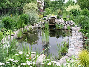 garden-pond