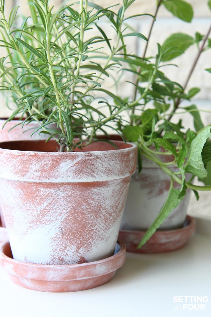 See how to make this easy DIY Pot for your home and outdoor garden. For herbs, flowers and succulents!