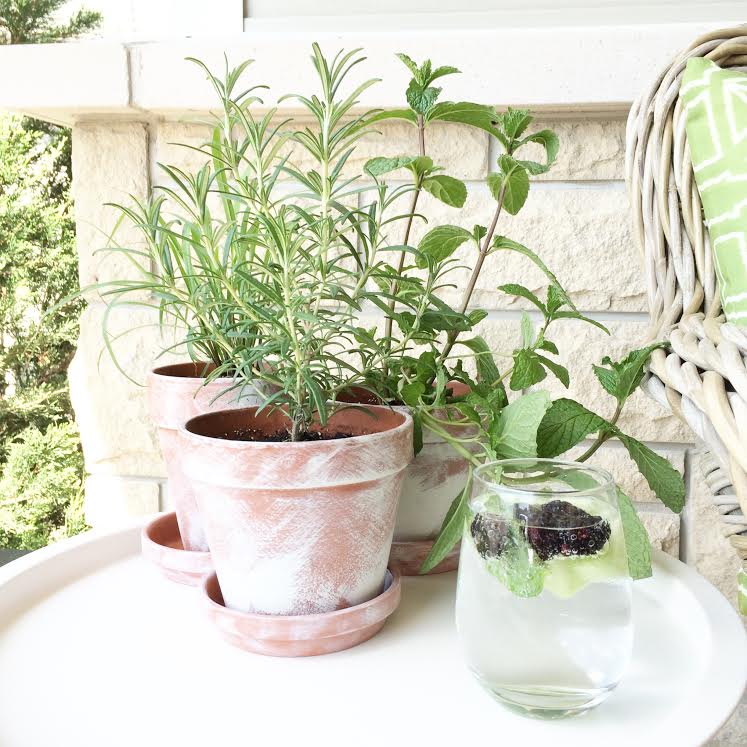 Learn how to make QUICK AND EASY DIY White Washed Terra Cotta Pots in just 10 minutes to plant herbs, flowers and succulents! See the tutorial and supply list to make these painted plant pots for your home or as beautiful gift ideas! Use them to decorate your home indoors or outside on your porch, patio or deck.