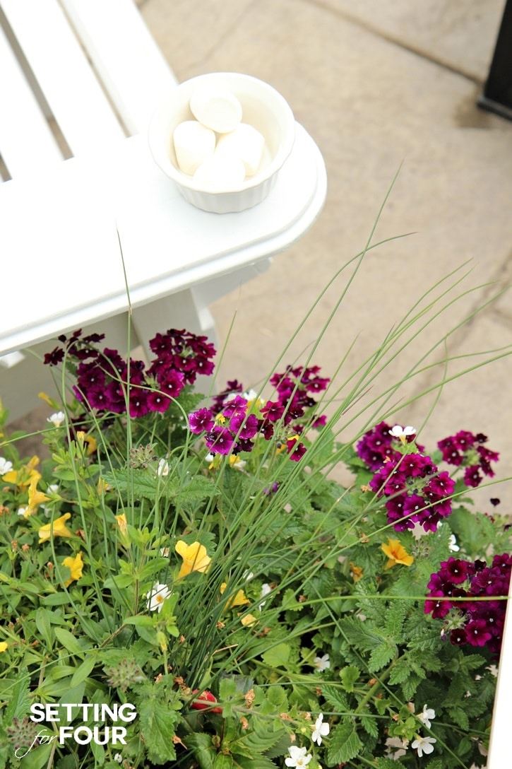 Summer flowers and container gardening.