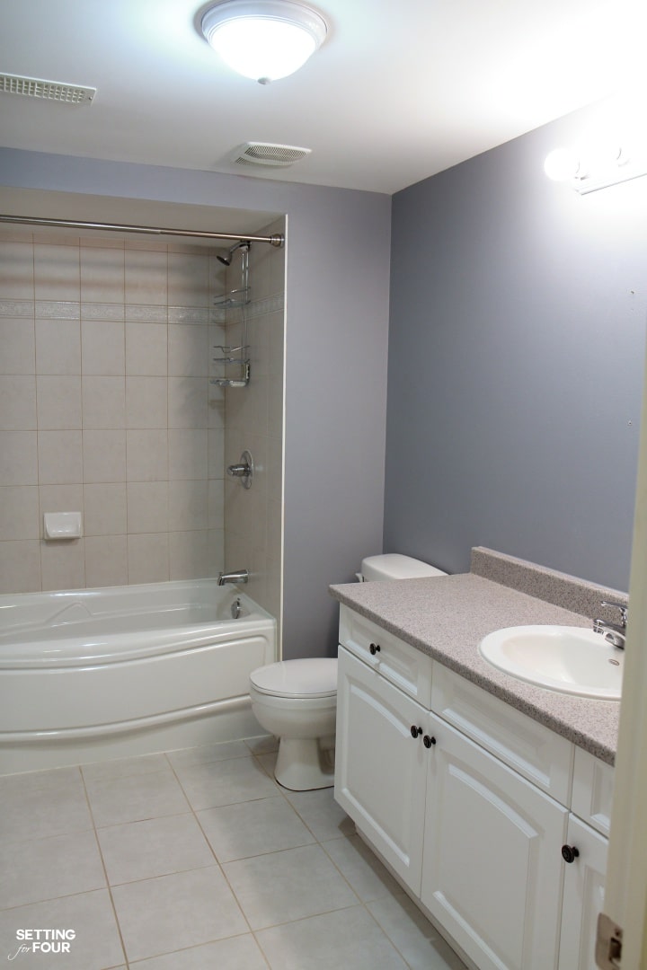 Basement bathroom - no decor and boring.