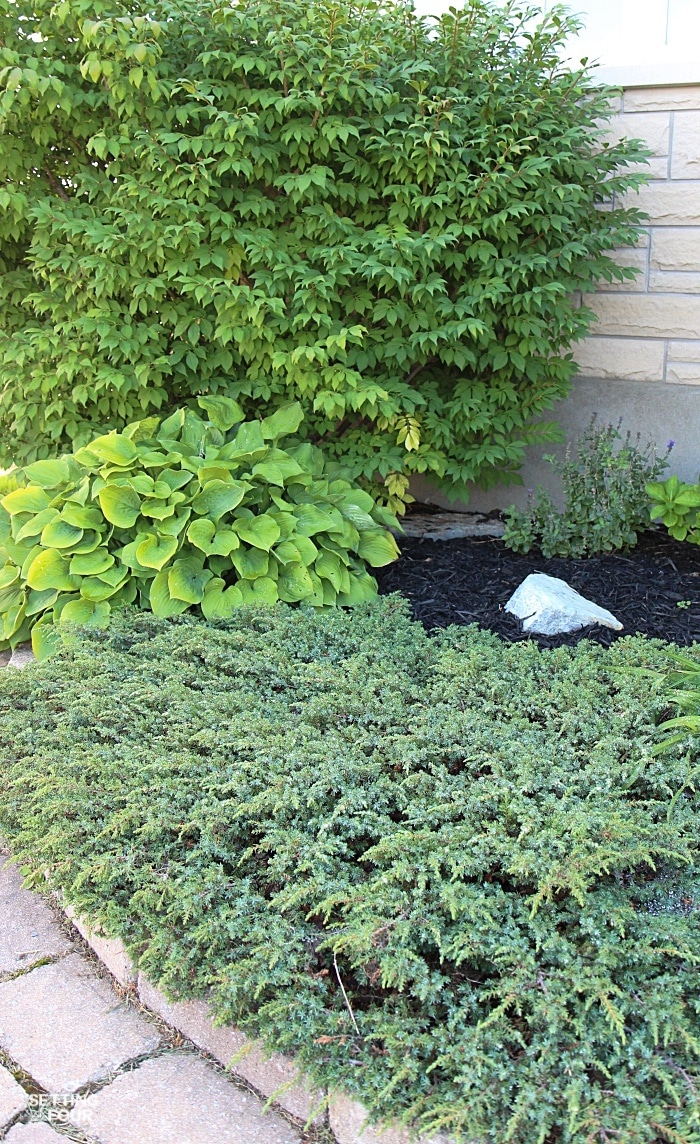 See how our front flower beds add curb appeal and beauty to our home!