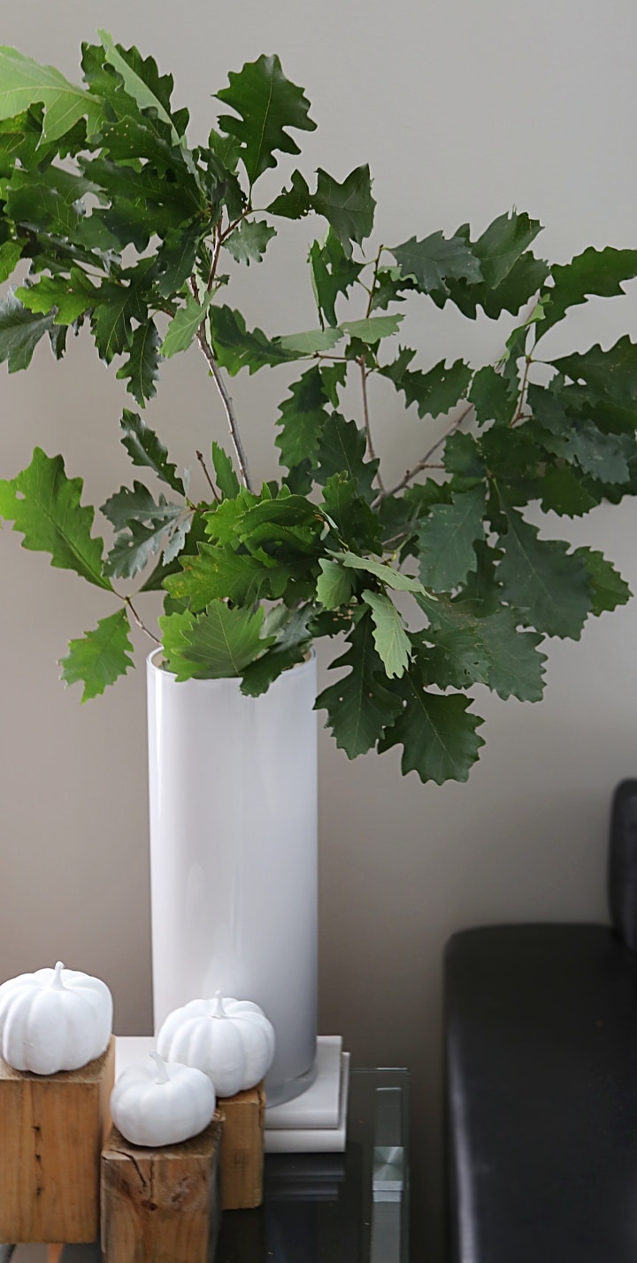 See this easy fall decorating tip and 14 more neutral non-orange ideas for autumn: Add a large vase of leafy oak branches to a side table for easy, inexpensive and gorgeous fall decorating!