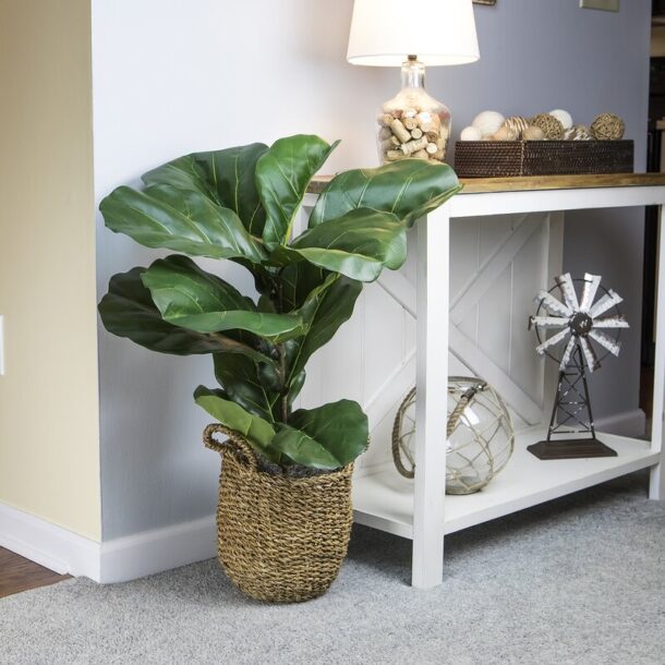 5 Ways to Decorate With Fiddle Leaf Fig Trees & Best Faux Options! Setting For Four Interiors