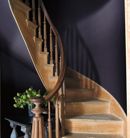 Paint Color Inspiration! Benjamin Moore Color of the Year 2017: Shadow. See what rooms will rock this deep rich plum color!