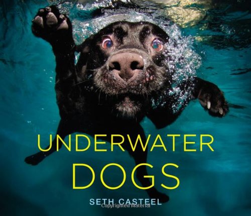 Underwater Dogs Hardcover Book: This book is absolutely hilarious and will guarantee a big grin from him when he opens this gift!