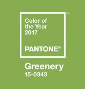 Pantone Color of the Year 2017 GREENERY.