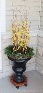 Beautiful DIY Spring Forsythia Planter Idea For Your Front Door and Porch Decor Inspiration. porch decorating ideas. curb appeal, cozy, elegant porch entryway home inspiration.