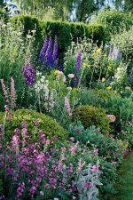 How To Grow A Cut Flower Garden