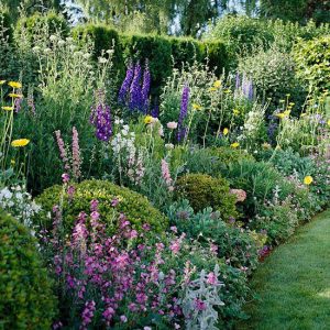 How To Grow A Cut Flower Garden