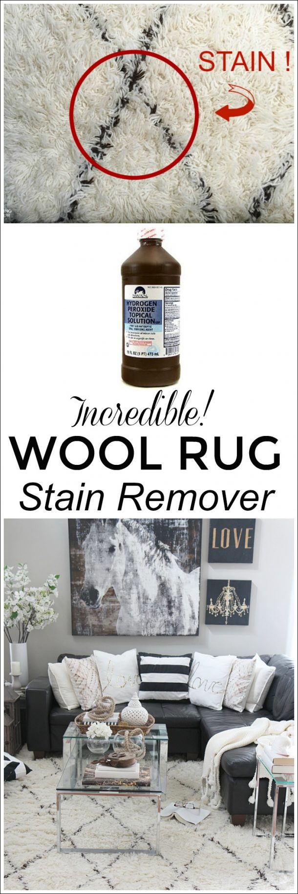 Incredible Wool Carpet Stain Remover & Cleaning Tip Setting For Four