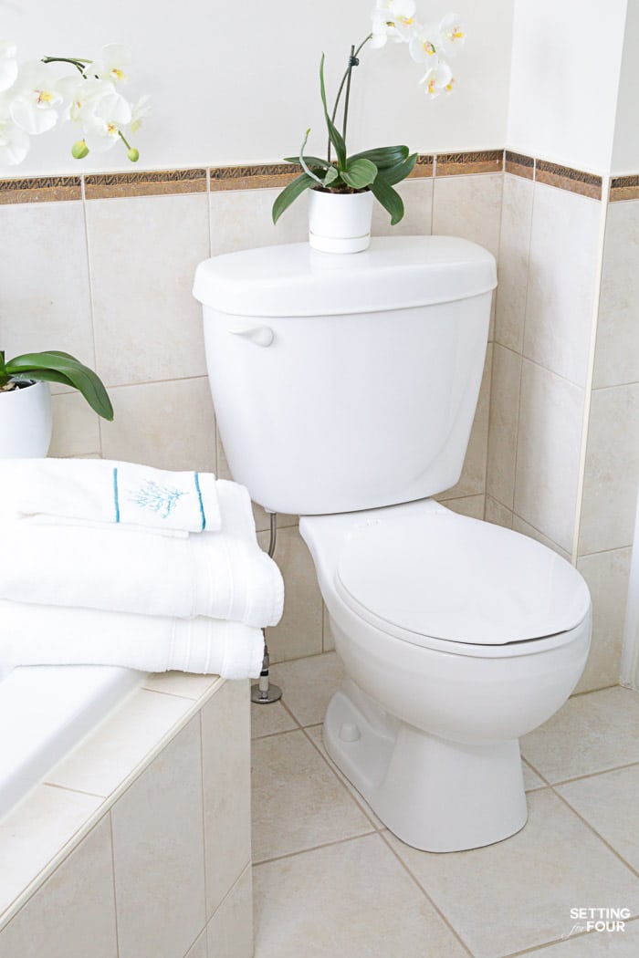 How To Deep Clean Your Bathroom from top to bottom in 5 Steps. Get a thorough clean, remove germs and stains.