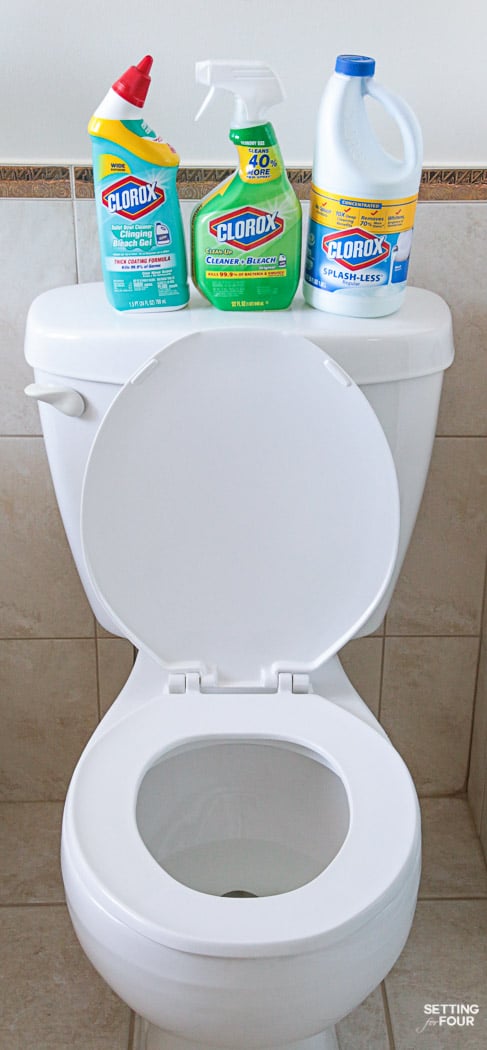 How To Deep Clean Your Bathroom from top to bottom in 5 Steps. Get a thorough clean, remove germs and stains.