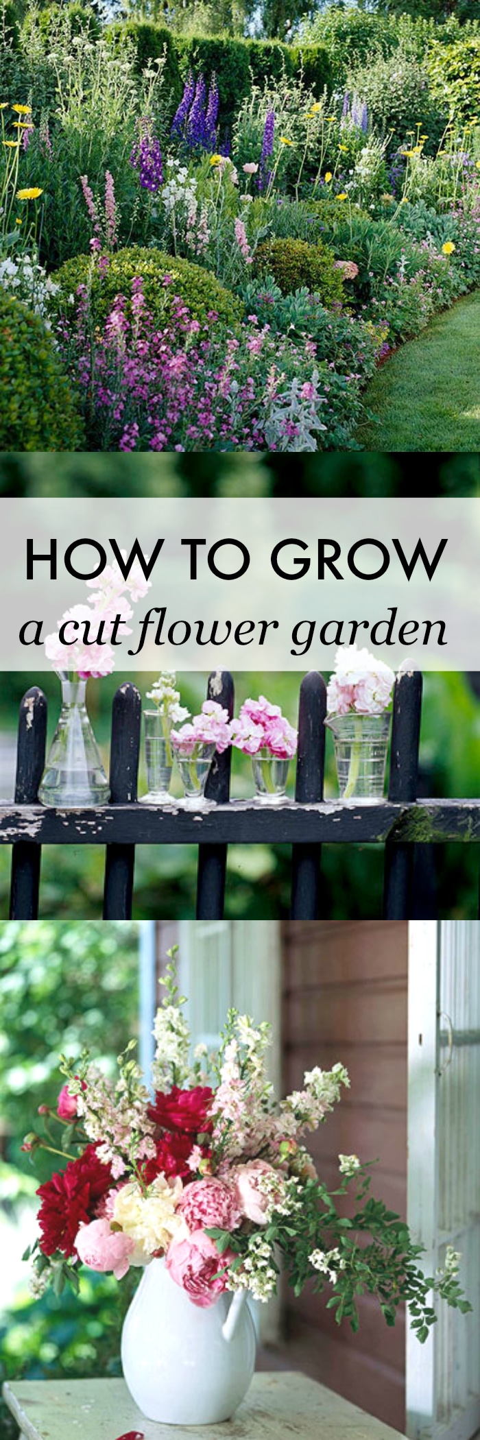 Learn how to grow your own cut flower garden! Make your own beautiful flower arrangements at home all summer long. Fresh floral bouquets are an inexpensive way to decorate!