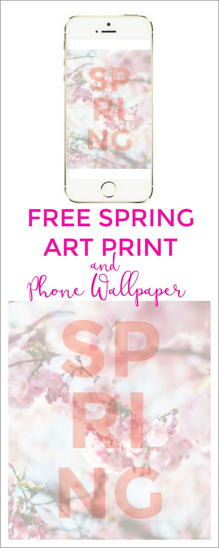 FREE Spring floral art print and phone wallpaper! You can print it and frame it for your art gallery wall and also use it for your phone and iPad wallpaper! 