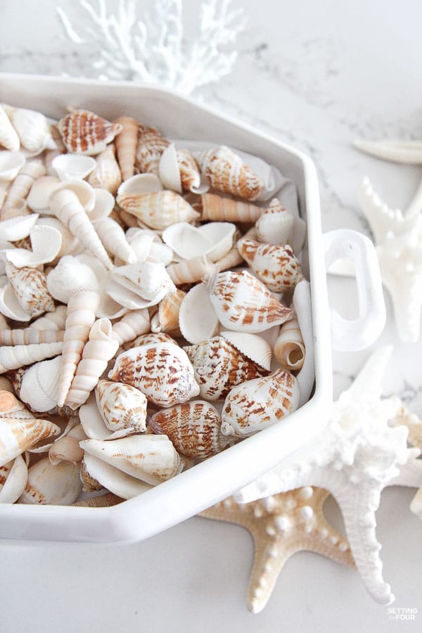 Learn how to make a Pretty Faux Coral & Starfish Coastal Summer Centerpiece that's quick and easy to put together! This Pottery Barn inspired centerpiece is the perfect table top, coffee table and bookshelf decor for parties, weddings or to update your home for summer. If you love coastal decor and collect shells you'll love this beautiful sea inspired arrangement! Learn how to make a Pretty Faux Coral & Starfish Coastal Summer Centerpiece that's quick and easy to put together! This Pottery Barn inspired centerpiece is the perfect table top, coffee table and bookshelf decor for parties, weddings or to update your home for summer. If you love coastal decor and collect shells you'll love this beautiful sea inspired arrangement!