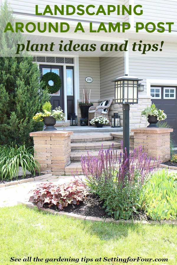 Learn helpful landscaping tips and tricks to hide a lamp post in the front yard. See the types of plants and flowers used to create a flower bed that adds curb appeal!