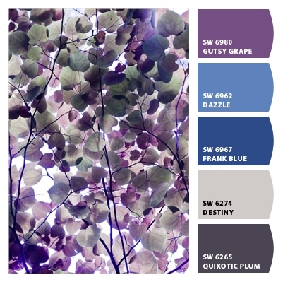 Purple paint color scheme