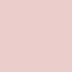 Sherwin Williams Rosy Outlook SW6316 - a beautiful light blush pink color.