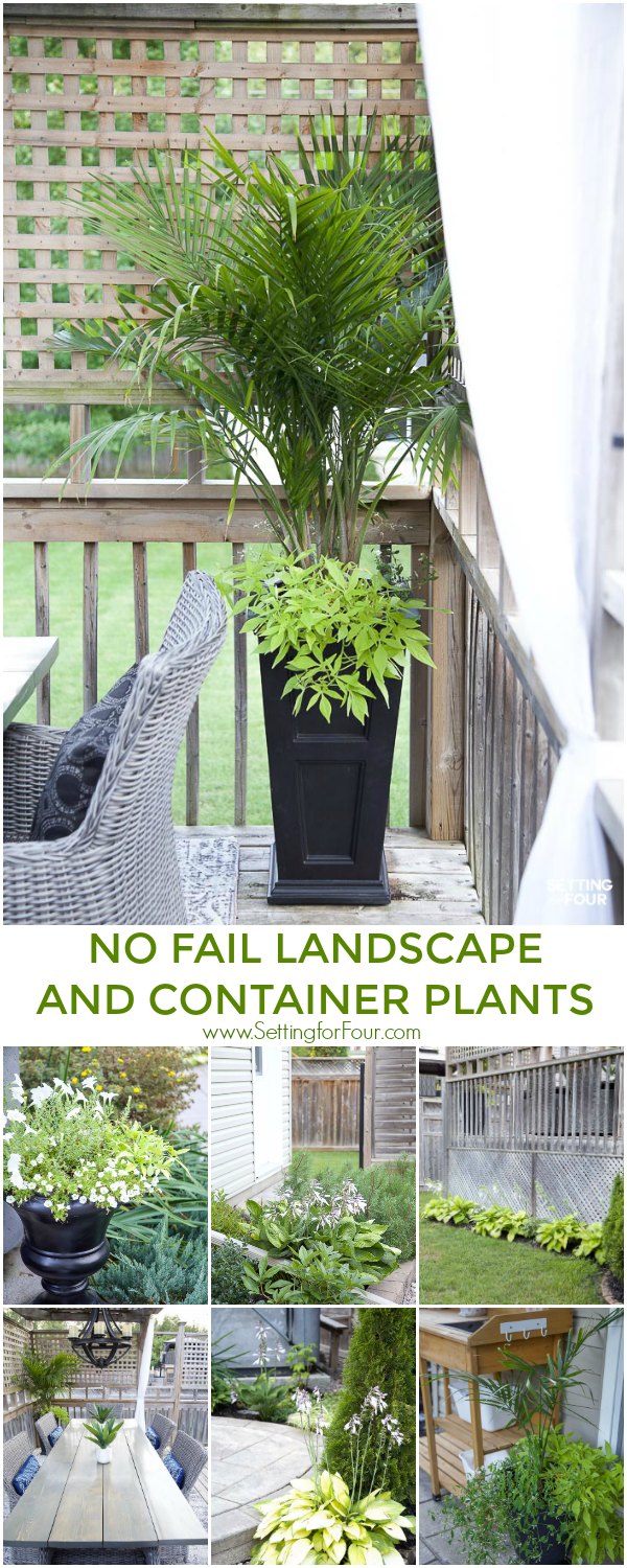 No fail landscape and container plants! Ideas for containers, urns, plant types and flower types that are easy to care for.