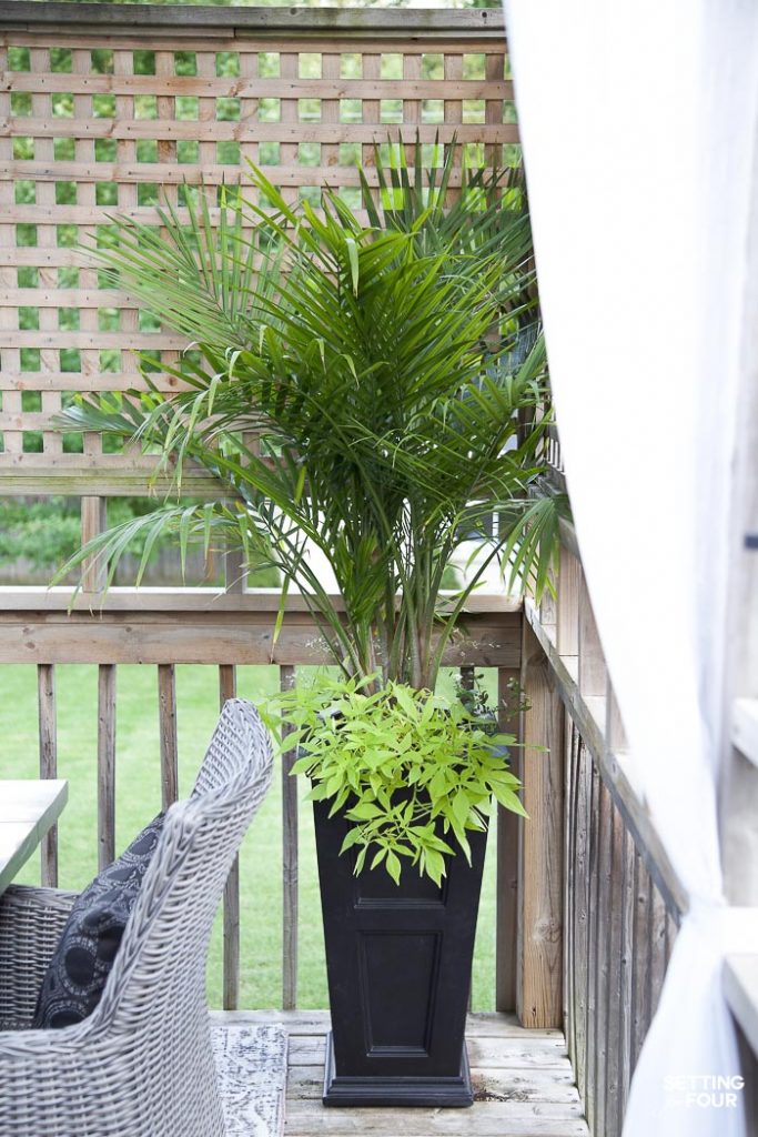 No Fail Plants - Landscape Gardens & Flower Containers #landscaping #gardening #plants #flowers #containerplants #urns #greenery #hosta #palmtree