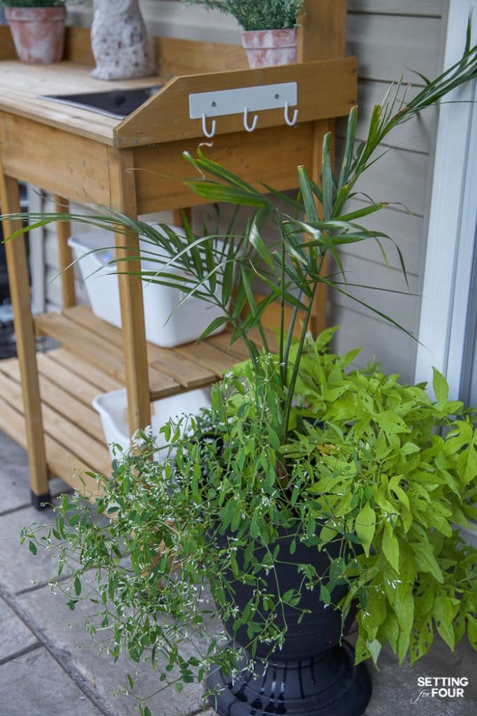 No Fail Plants - Landscape Gardens & Flower Containers #landscaping #gardening #plants #flowers #containerplants #urns #greenery #hosta #palmtree