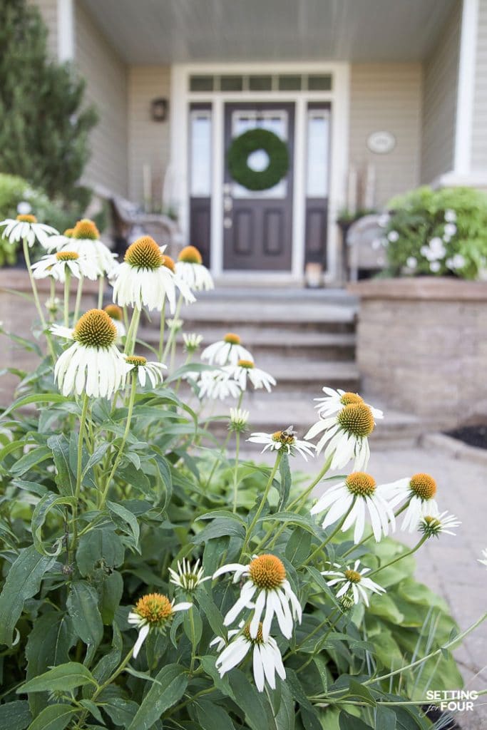 Summer Front Porch Decor Ideas #summer #porch #plants #exterior #curbappeal #decorating #landscaping #coneflower #perennial