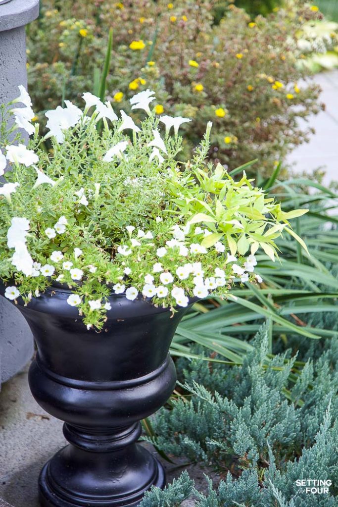 No Fail Plants - Landscape Gardens & Flower Containers #landscaping #gardening #plants #flowers #containerplants #urns #greenery #hosta #palmtree