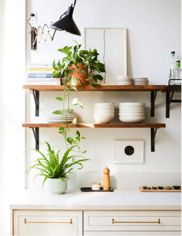 Beautiful Houseplants That Ship To Your Door! Setting For Four Interiors